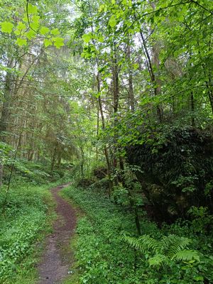 #6 Waischenfelder Panoramatrail