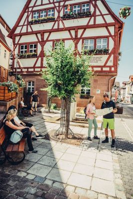 TG Odenwald | Fachwerk | Altes Rathaus | Walldürn
