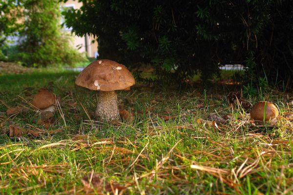 Ferienwohnung Heger Bad Steben, Herbszeit