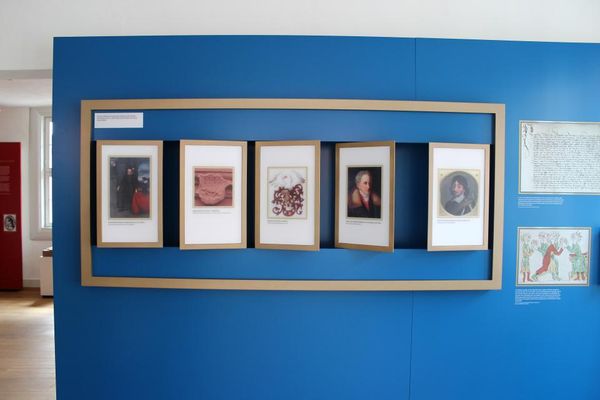 Interessanter Einblick in das Museum