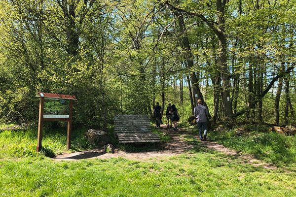 Am Waldrand steht eine Sinnesliege und eine Infotafel. Rechterhand davon gehen Wanderer auf einem Weg in den Wald hinein. An einem Baum hängt die Wegemarkierung.