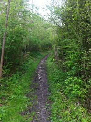 Romantische Wege führen uns nach Buchen.