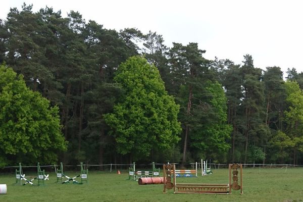 Springplatz Aktivstall