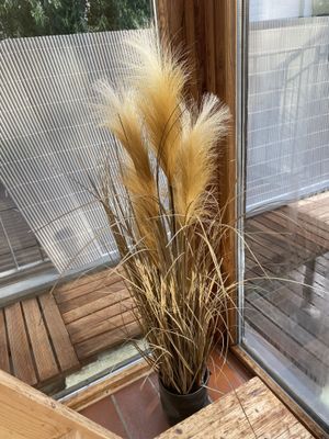 Wintergarten