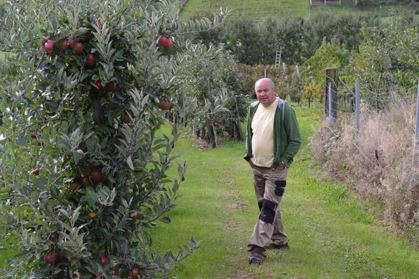 Herbert Schmidt auf seinen Obstwiesen