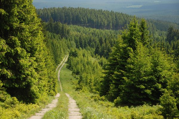 Wandern im Frankenwald