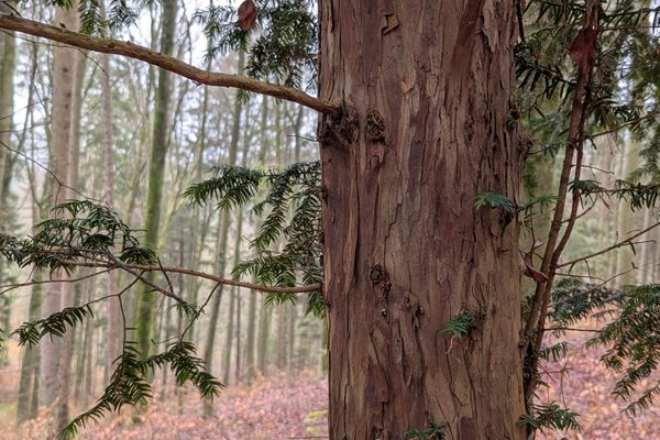 Wandertipp