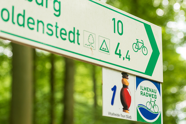 Ein Radwegweiser im Wald zeigt die Entfernungen nach Holdenstedt und anderen Zielen. Darunter sind Schilder für die Vitalheide-Tour (Süd) mit einer Säule und das Routenlogo des Ilmenauradwegs mit einem stilisierten Fahrrad über einer Welle.