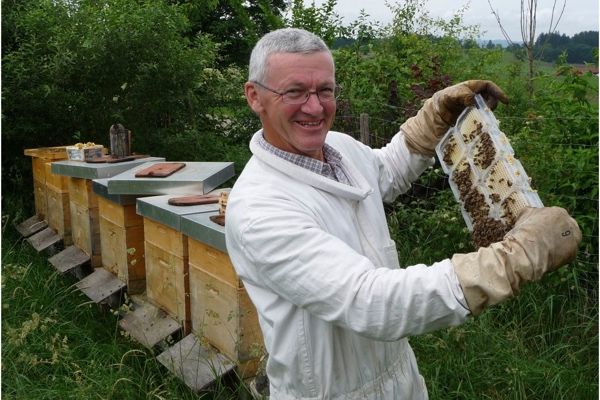 Der Betrachter blickt auf einen Imker, der eine Honigwabe in den Händen hält und vor einer Reihe Bienenkästen steht.