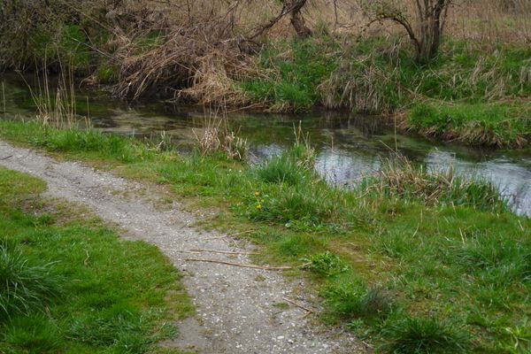 Idyllisch geht es hinter Huglfing am Bach entlang in Richtung Grasleitner Moor.