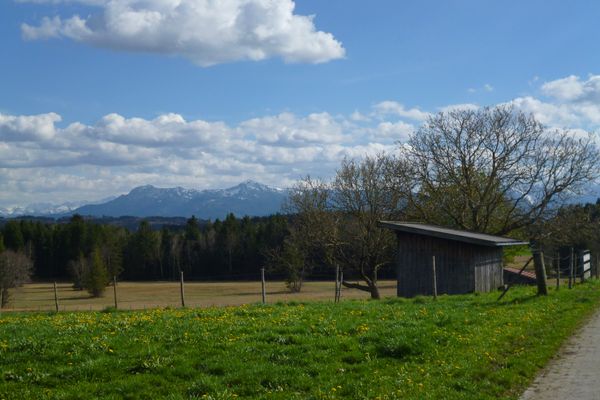 Grandioser Blick auf die Alpenkette vom südlichen Ortsrand von Egenried.