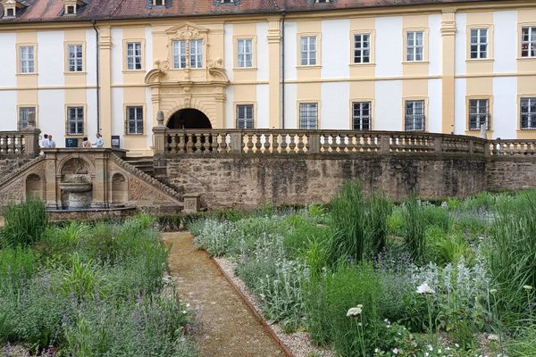 Hitzetolerante Staudenpflanzungen