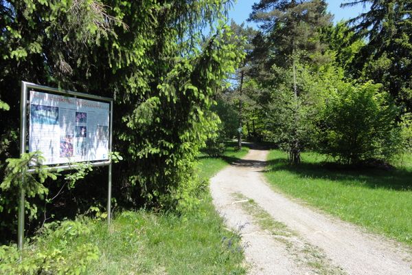 Heidewiese an der Schongauer Alm