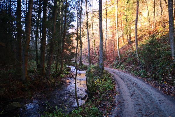 Bike Adventures Franken