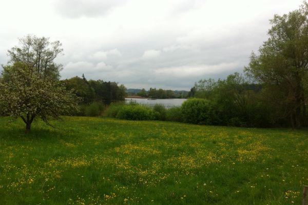 Wunderschöner Weitlick auf den Nußberger Weiher