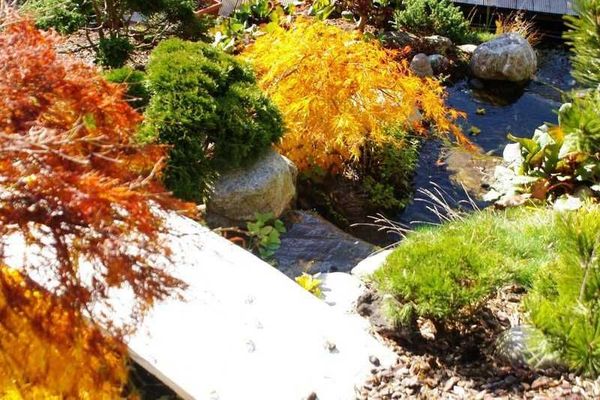 Gartenimpression