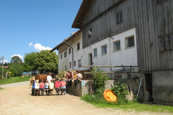 Reiten