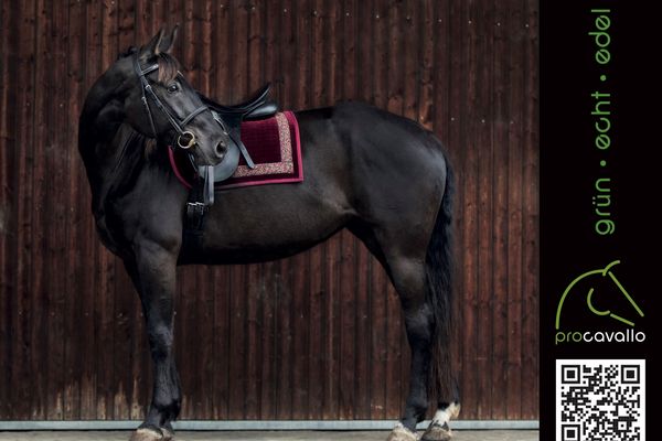 Produkte für Roß und Reiter im Procavallo, Mühltal