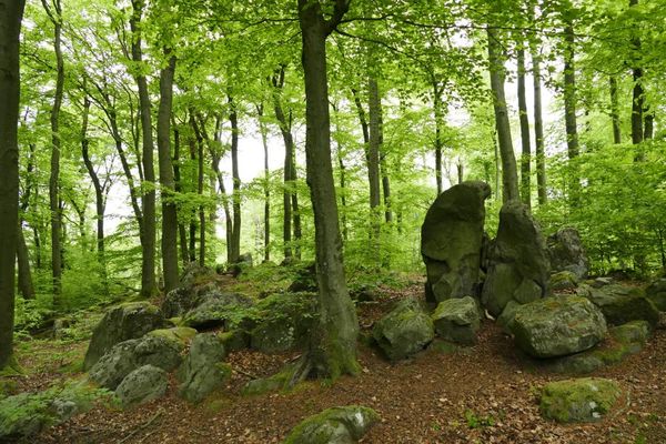 Ringwall Heuneburg