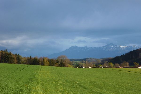 Dreht man den Kopf etwas weiter nach Osten, so genießt man einen eindrucksvollen Blick auf die - hinter den Häusern von Deutenhausen emporragende - Alpenkette.