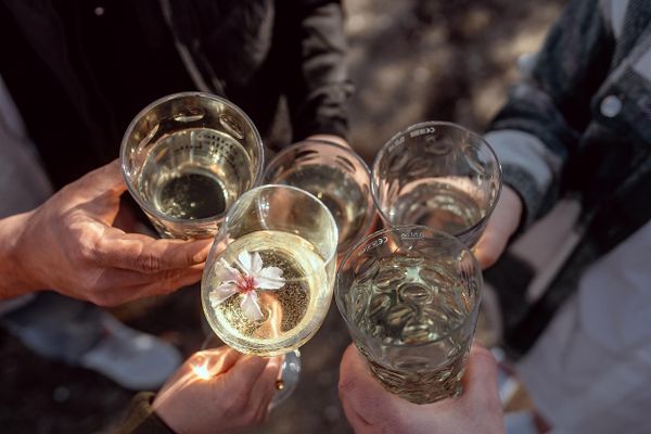 Bild des Datensatzes Neustadt entdecken & WINE.Event erleben