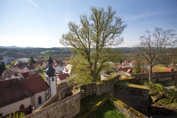 Blick von der Burg