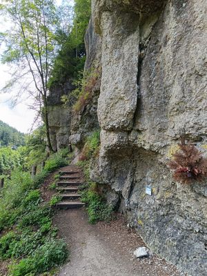 #5 Auf dem Franken- und Marienweg