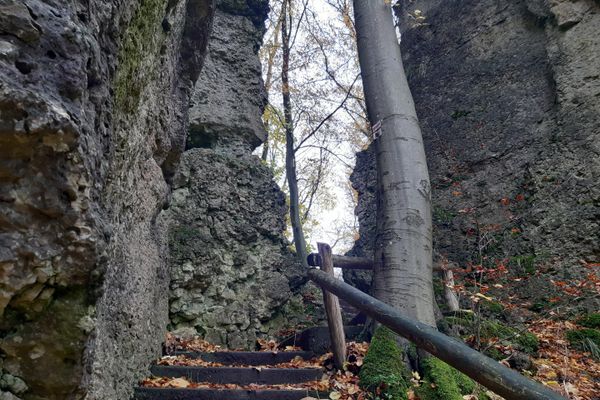Gößweinstein – Spaziergang durch den Eibenwald