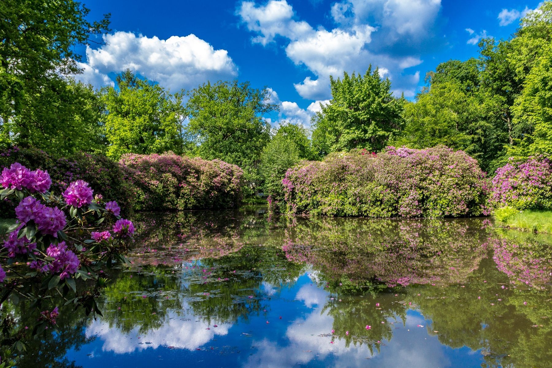 Breidings Garten: Soltau Touristik