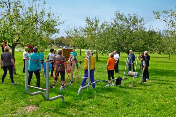 Mehrere Personen in Sportbekleidung stehen auf einer von Laubbäumen bewachsenen Wiese und lauschen den Anweisungen des Trainers. Im Vordergrund befinden sich einige Bewegungsparcours-Geräte.