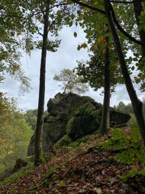 Drei hohe Laubbäume stehen vor einem markanten Felsgestein. Im Vordergrund ein laubbedeckter Boden, im Hintergrund ein Mischwald.