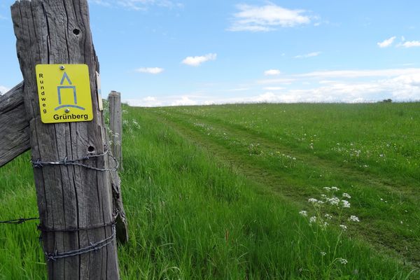 Blick über eine Wiese mit Wiesenweg. Dahinter ist ein herrlicher Sommerhimmel in hellem Blau zu sehen. Am linken Bildrand ist der graue Holzpfosten eines Zaunes, umwickelt mit Stacheldraht und eränzt um ein gelbes quadratisches Schild mit skizzenhaftem blauen Turm zu sehen. Auf dem Schild steht senkrecht Rundweg und waagrecht unter der Turmskizze Grünberg.