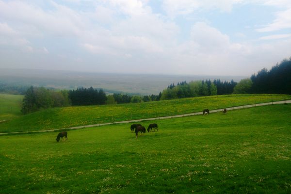 Aufstieg zum Hohenpeißenberg