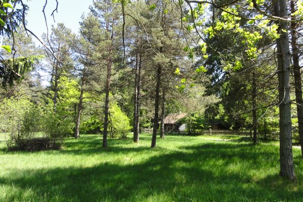 Heidewiese an der Schongauer Alm