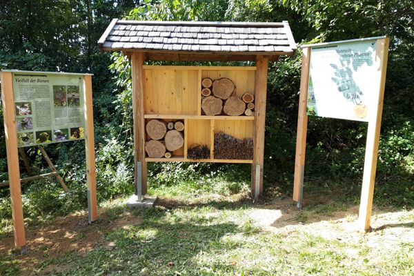 Lehrbienenstand mit Sichtfenster vor den verschiedenen Fächern, die bestückt sind mit Waben und von Bienen bevölkerten Baumscheiben. Zwei Schautafeln erklären das Bienenleben.