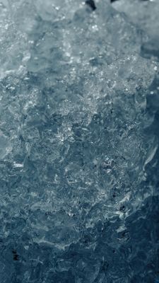 Bild des Datensatzes The Arctic Call