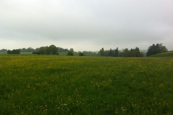 Die siebte Etappe führt durch die sanfte Hügellandschaft des Pfaffenwinkels.