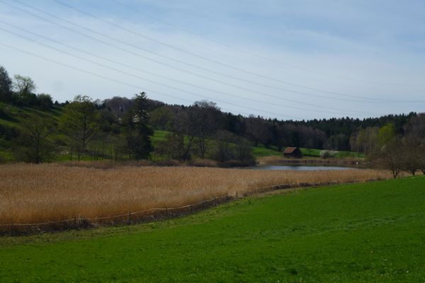 Blick vom Weg südlich des Weilers Eichendorf auf den Eichendorfer Weiher.