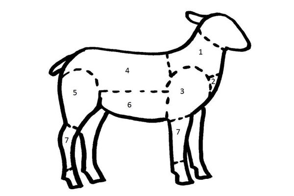 Teilstücke des Lamms