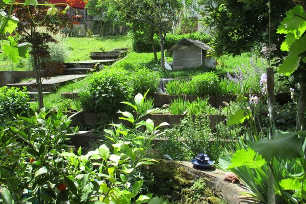 Garten