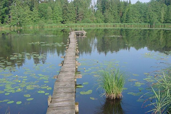 Wer sich über den Steg traut, sitzt an dessen Ende auf einer Bank mitten auf dem Neusee.
