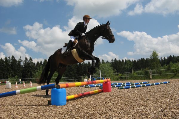 Springreiten