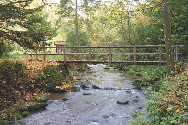 Eine hölzerne Brücke führt über einen Bach im herbstlichen Laubwald; im Hintergrund steht eine Holzhütte.