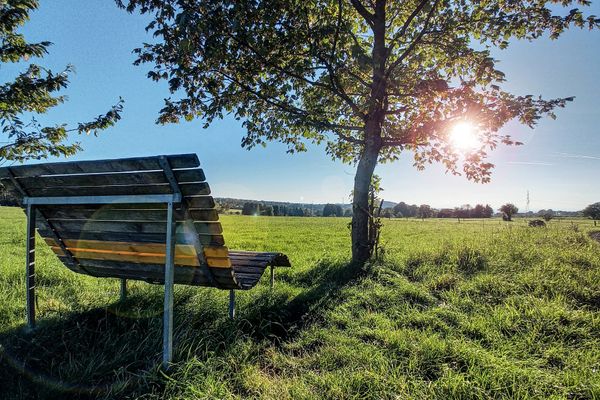 Im Vordergrund ist eine breite, geschwungene Liege aus Holz unter einem Laubbaum zu sehen. Dahinter erstreckt sich ein weiter Blick über Wiesen und Felder. Die Sonne bricht durch das Laub und macht stimmungsvolles Licht.