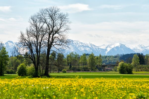 View of the mountains from the Weilheimer Ammer Au