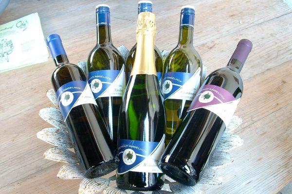 Bild des Datensatzes Hofweinfest auf dem Weingut Amselhof