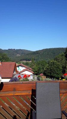 Ausblick