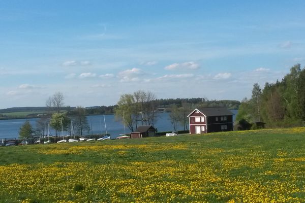 Blick von der Terrasse aus auf den See