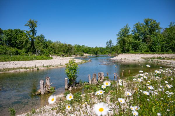 Landau-an-der-Isar_Renaturierung_2021_original_Daxl-Eiglsperger_DSC_7405