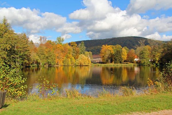 Seegarten Amorbach